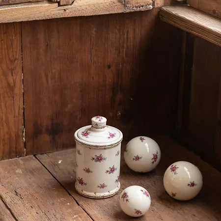 La Casa De La Camelia *