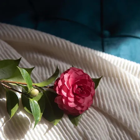 ホテル La Casa De La Camelia *