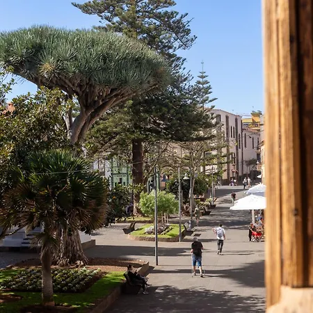 La Casa De La Camelia Hotel