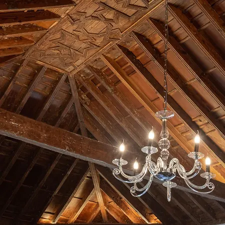 La Casa De La Camelia * San Cristóbal de La Laguna