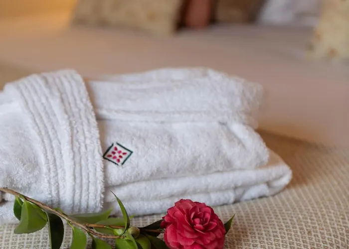 Hotel La Casa De La Camelia