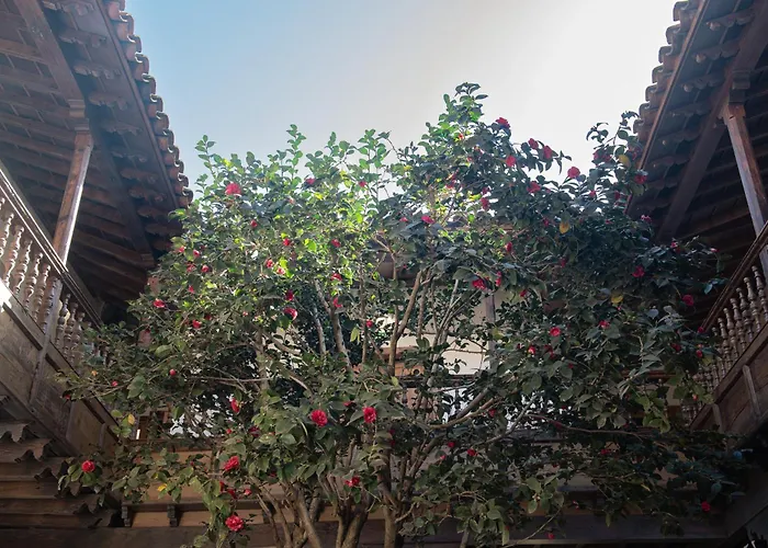 La Casa De La Camelia Hotel La Laguna (Tenerife)