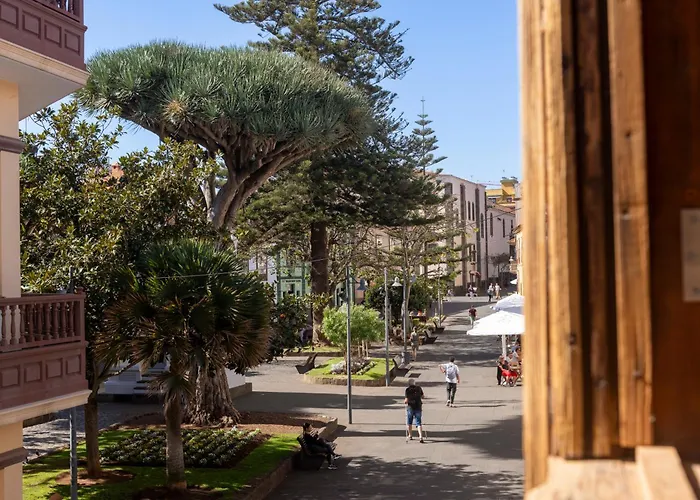 La Casa De La Camelia