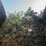 La Casa De La Camelia Szálloda La Laguna