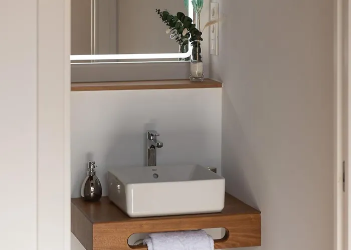 La Casa De La Camelia La Laguna (Tenerife)