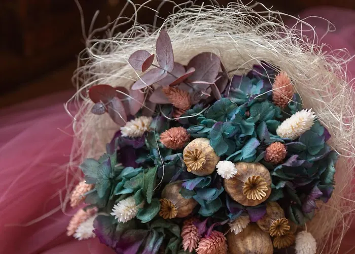 La Casa De La Camelia * La Laguna (Tenerife)